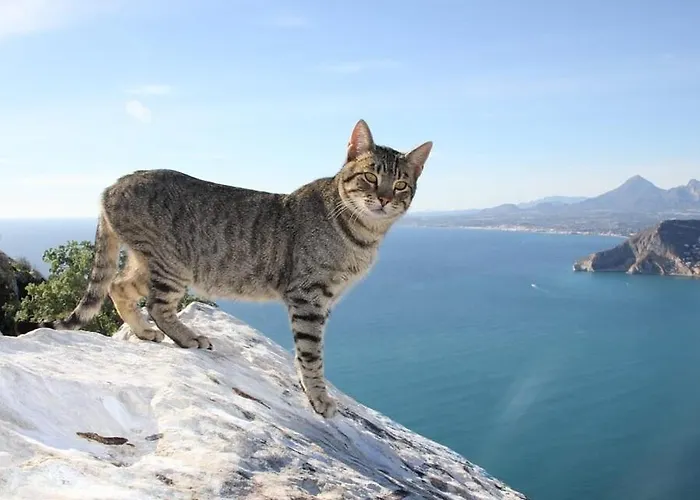 Corina - Plusholidays Villa *